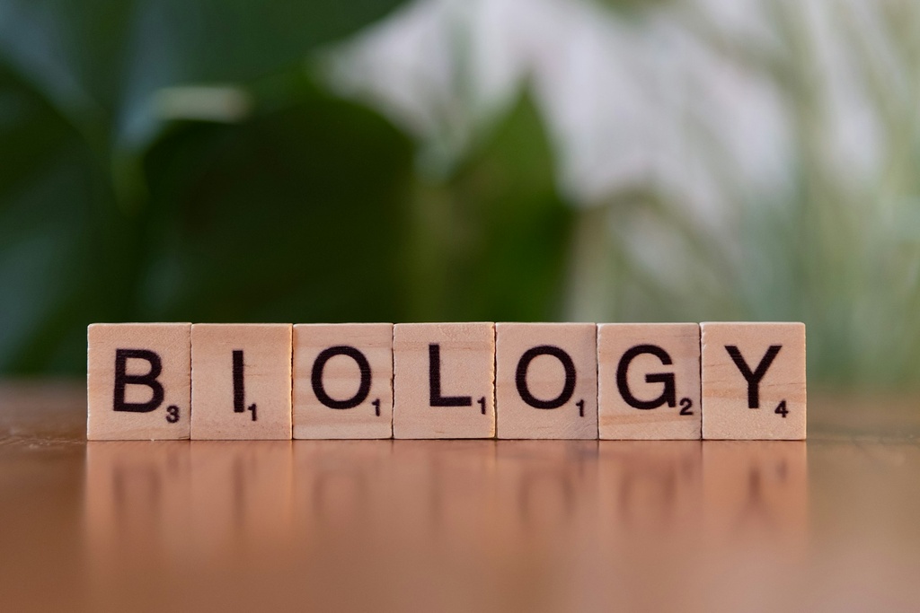 NCERT BIOLOGY